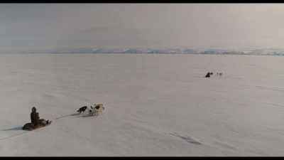 -[DOGS BARK]
-[INDISTINCT CHATTER] - The North Water
