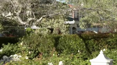          [ Dogs barking,
       branches rustling ] - Modern Family