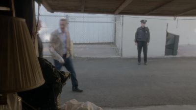 [dogs barking] - NCIS