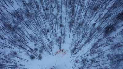 [dogs barking] - Life Below Zero: Next Generation