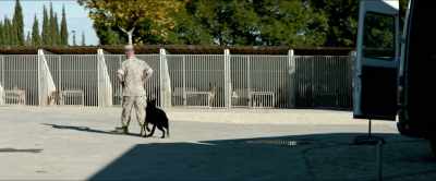 (DOGS BARKING) - Megan Leavey