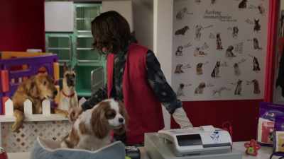 [dogs barking] - Imposters