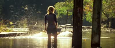 Come on, Dexter, go get it. - The Lucky One