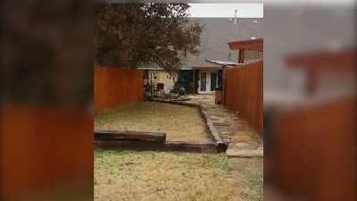 [ Dogs barking ] - Neighborhood Wars