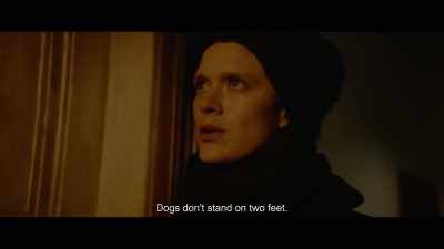 Dogs don't stand on two feet - Dogs Don't Wear Pants