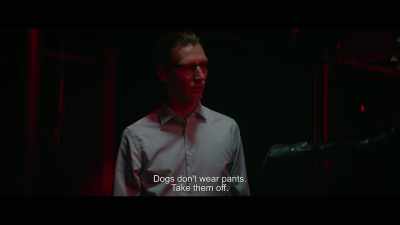 Dogs don't wear pants.
Take them off. - Dogs Don't Wear Pants