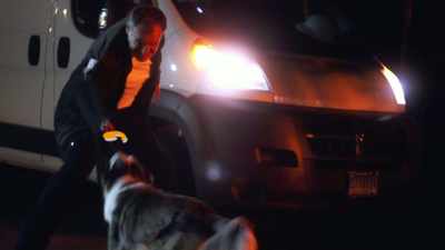 [Dogs panting and barking] - Junkyard Dogs