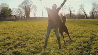 Dogs see
their owners as gods. - Inside the Mind of a Cat