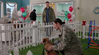 Dogs, they'll
accept you as you are, - Tails of Christmas