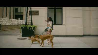 [dogs whining] - Slip