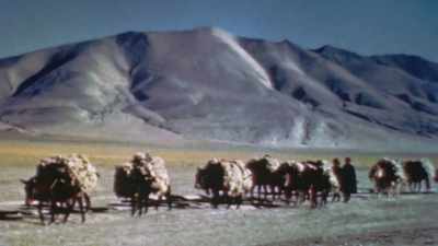 Dolan: BOULDERS WERE
CONTINUALLY BREAKING - The Pacific War in Color