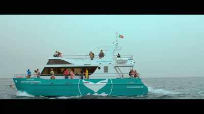 DOLPHINS BAY - Four to Dinner