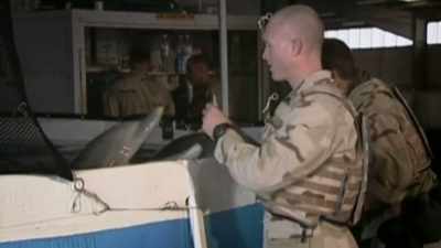 - Dolphins show an
incredible acuity - The UnBelievable with Dan Aykroyd