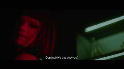 Dominatrix's pet. Are you? - Dogs Don't Wear Pants