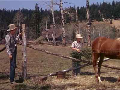 Don´t run away, Flicka. - My Friend Flicka