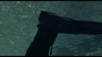 [Don] If you're about to go and do a dive, - Dave Not Coming Back