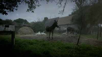 [donkey brays] - Crock of Gold: A Few Rounds with Shane MacGowan