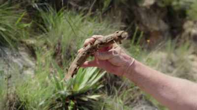 ‐DONNA: What is it?
‐That looks like - Beyond Oak Island