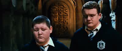 Don't ask me. - Harry Potter and the Chamber of Secrets