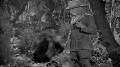 Don't be a silly ass. - Tarzan Finds a Son!