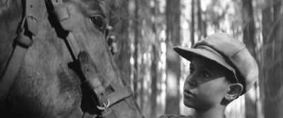 Don't be afraid, horsey.
I'll help you. - The Painted Bird
