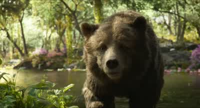 Don't be mad okayWhy would I be madBecause you're always mad when I do stuffYou gotta promise not to be mad this timeShow me then I'll decide - The Jungle Book