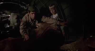Don't be scared, baby. - The Last Flight of Noah's Ark