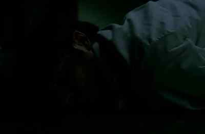 Don't be scared .It's okay . - Repli-Kate