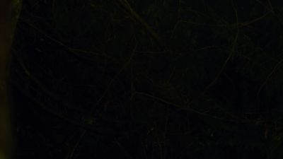 Don't be scared. - Are You Afraid of the Dark?