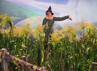 Don't be silly, Toto. - The Wizard of Oz