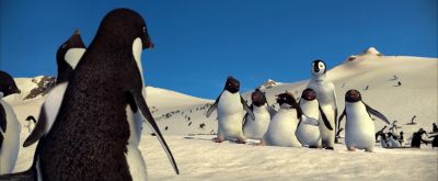 Don't be so snooty - Happy Feet