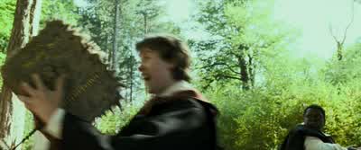- Don't be such a wimp, Longbottom. - Harry Potter and the Prisoner of Azkaban