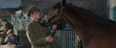 Don’t be worried, boy, when I go. - War Horse