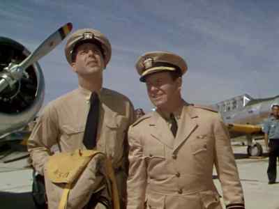 Don't blame me if anything happens. - Dive Bomber