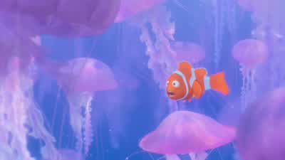 Don't bounce on the tops. - Finding Nemo