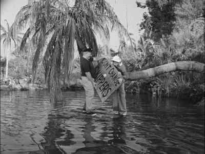 "DON'T CHANGE
SKIPPERS." - Gilligan's Island
