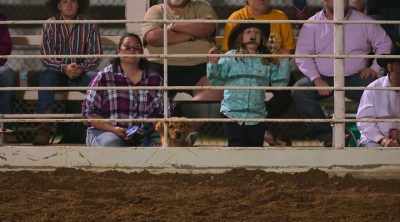Don't check out. Check back in.
Be aggressive. Finish. - How to Be a Cowboy