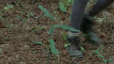 Don't cry. - The Walking Dead