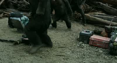 Don't! Don't! Caesar, no! No. - Dawn of the Planet of the Apes