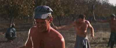Don't he ever talk? - Cool Hand Luke