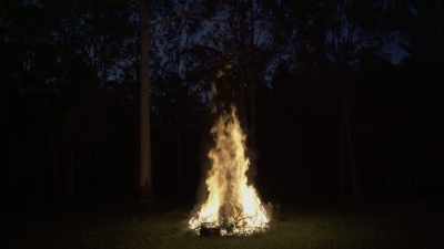 Don't forget that
Goossens was knighted - The Witch of Kings Cross