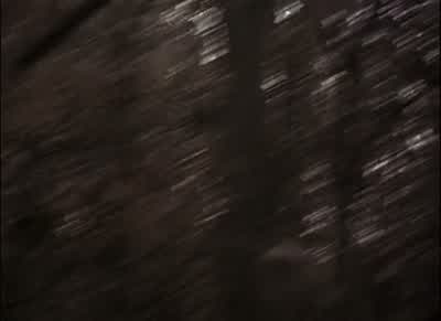 Just relax MikeDon't fucking tell me to relax - The Blair Witch Project