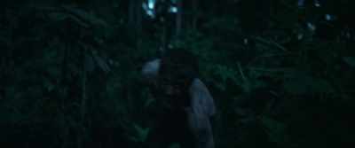 Don't give up! - Jungle