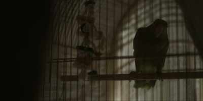 Don't hurt me. - Tales of the Walking Dead
