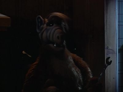        Don't you know
       what freeze means? - ALF