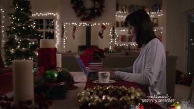 Don't let the leaves
touch the glass. - Christmas in the Air
