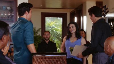 Don't let us stand in your way. - Hawaii Five-O