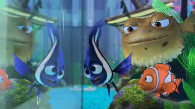 Don't listen to anything my sister says. - Finding Nemo