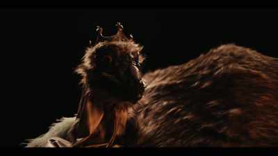 Don't look so scared. I know your plan. - The Emu War