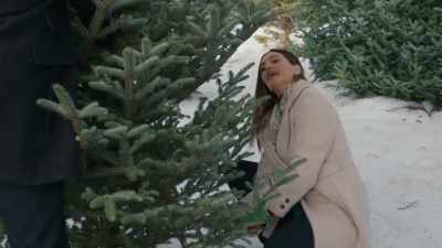Don't you love
this time of year? - A Dance in the Snow